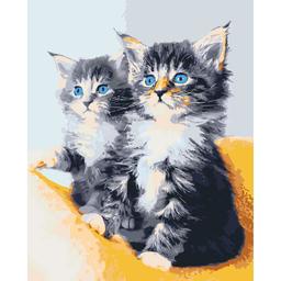 Картина за номерами ArtCraft Блакитноокі кошенята 40x50 см (11617-AC)