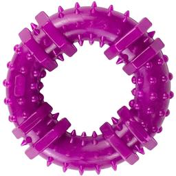 Іграшка для собак Agility кільце з шипами 12 см фіолетова