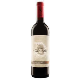 Вино Avanteselecta Inveravante Selecta Torre de Golban Crianza, червоне, сухе, 14,5%, 0,75 л (8000013988491)