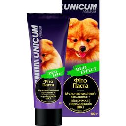 Фитопаста Unicum DUO Mulʹtyvitamin ЖКТ для собак и щенков, 100 г