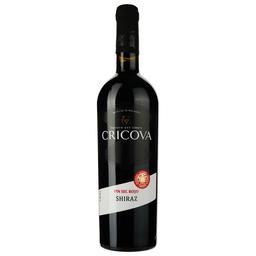 Вино Cricova Shiraz, красное, сухое, 0.75 л