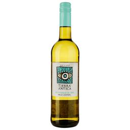 Вино Tierra Antica Sauvignon Blanc 2022 біле сухе 0.75 л