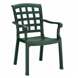 Кресло Papatya Паша, зеленый (4053)