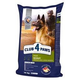 Сухой корм для рабочих собак средних и крупных пород Club 4 Paws Premium Scout Adult, 14 кг (B4531001)