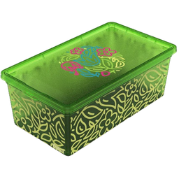 Коробка Qutu Light Box Flouresent green, 5 л (LIGHT BOX с/к FLOURESENT GREEN 5)