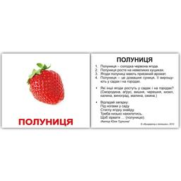 Набір карток Вундеркінд з пелюшок Фрукти, з фактами, укр. мова, 40 шт.