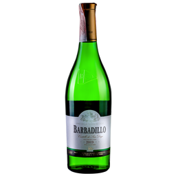 Вино Bodegas Barbadillo Castillo San Diego Dry Secco VdT, біле, сухе, 12%, 0,75 л