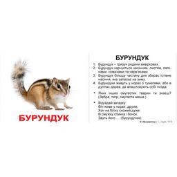 Міні-картки Вундеркінд з пелюшок Дикі тварини, з фактами, укр. мова, 40 шт.