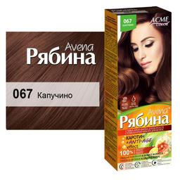 Крем-краска для волос Acme Color Рябина Avena, оттенок 067 (Капучино), 138 мл