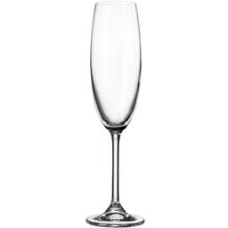 Набор бокалов для шампанского Crystalite Bohemia Colibri, 220 мл, 6 шт. (4S032/00000/220)