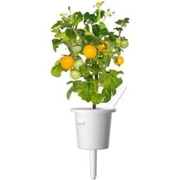 Змінний картридж Click & Grow Smart Garden Жовті томати, 3 капсули (9124)
