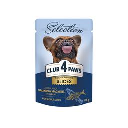 Вологий корм для дорослих собак малих порід Club 4 Paws Premium Шматочки з лососем та макрелью в соусі, 85 г (B5530601)
