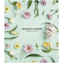 Зошит загальний Школярик Meadow flowers, в лінійку, 36 арк, УФ-лак, 20 шт. (036-3190L)