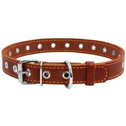 Ошейник для собак Collar, кожаный, безразмерный, 50х2 см, коричневый