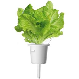 Змінний картридж Click & Grow Smart Garden Зелений салат, 3 капсули (7731)