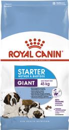 Сухой корм Royal Canin Giant Starter Mother & Babydog для щенков гигантских пород, с мясом птицы и рисом, 4 кг