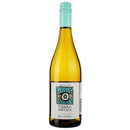 Вино Tierra Antica Chardonnay 2022 біле сухе 0.75 л
