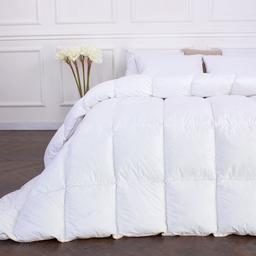 Одеяло пуховое MirSon Raffaello 063, двуспальное, 205x172, белое (2200000075147)