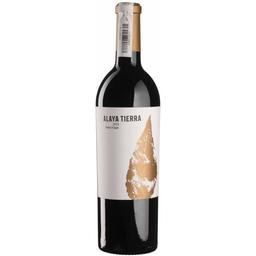 Вино Bodegas Atalaya Alaya 2020 Semi Sec, красное, полусухое, 0,75 л