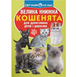Большая книга Кристал Бук Котята (F00019383)