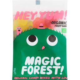 Жувальні цукерки Hey Yum! Magic Forest 50 г