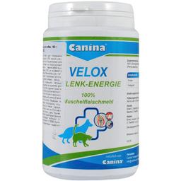 Вітаміни Canina Velox Gelenk-Energie для котів та собак, з високим вмістом глюкозаміногліканів, 150 г