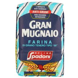 Борошно пшеничне Molino Spadoni з м'яких сортів для пасти 1 кг (525621)