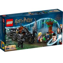 Конструктор LEGO Harry Potter Карета Хогвартсу та Фестрали, 121 деталей (76400)