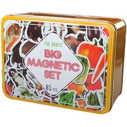 Магнитный набор Magdum Magnetic set 4 в 1 Вaby world (ML4031-61 EN)