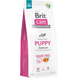 Сухий беззерновий корм для цуценят Brit Care Dog Grain-free Puppy, з лососем, 12 кг