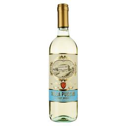 Вино Villa Puccini Terre Siciliane Pinot Grigio IGT, белое, сухое, 0,75 л