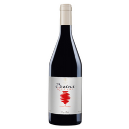 Вино Besini Qvevri, червоне, сухе, 14,5%, 0,75 л (8000018003852)