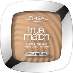Компактна пудра для обличчя L'Oreal Paris True Match Super-Blendable Perfecting Powder Hyaluronic Acid відтінок 3D/W 9 г
