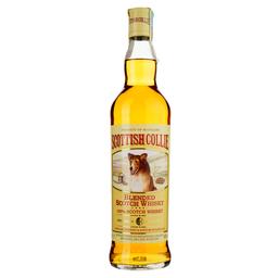Віскі Scottish Collie Blended Scotch Whisky, 40%, 0,7 л