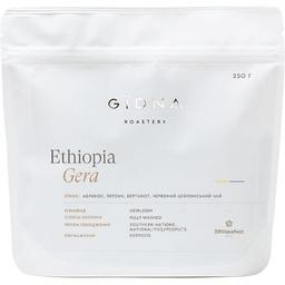 Кофе в зернах Gidna Roastery Ethiopia Gera Filter 250 г