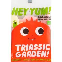 Жевательные конфеты Hey Yum! Triassic Garden 50 г