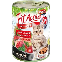 Влажный корм для котят FitActive Adult, Junior Говядина и ягненок с яблоком, 415 г