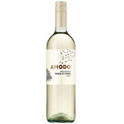 Вино Amodo Pecorino Terre Di Chieti IGT Abruzzo, біле, сухе, 0,75 л