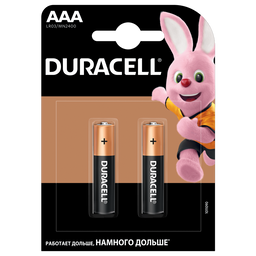 Лужні батарейки мізинчикові Duracell 1,5 V AAA LR03/MN2400, 2 шт. (706007)