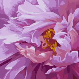 Картина по номерам Santi Розовая феерия, 40х40 см (954430)