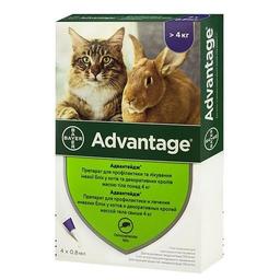 Капли Bayer Адвантейдж от блох, для котов от 4 до 8 кг, 1 пипетка