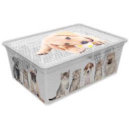 Коробка Qutu Light Box Cats and dogs, 10 л, 37х26х14 см, белый (LIGHT BOX с/к CATS AND DOGS 10л.)