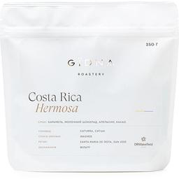 Кава у зернах Gidna Roastery Costa Rica SHB Filter 250 г