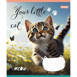 Набір зошитів 1 Вересня Your little cat, в лінію, 12 аркушів, 25 шт. (766537)