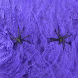 Павутина Yes! Fun Halloween з двома павучками, 20 г, фіолетова (973674)