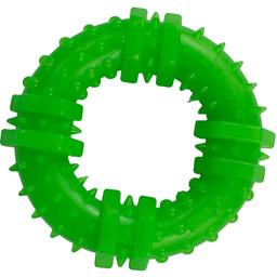 Игрушка для собак Agility кольцо с шипами 9 см зеленая