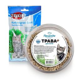 Трава для кошек