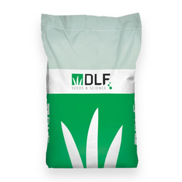 DLF