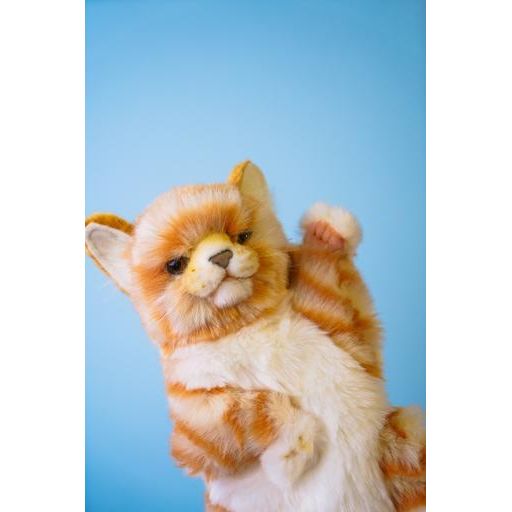 Мягкая игрушка на руку Hansa Puppet Имбирный кот, 30 см, белый с оранжевым (7182) - фото 4