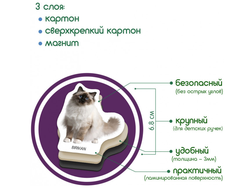 Магнитный набор Magdum Magnetic set Breeds of cats Породы кошек (ML4031-13 EN) - фото 5